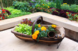 Plants basket