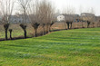 paesaggio 955 paesaggio 955