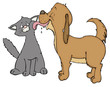 Katze, Hund, Freunde, Überraschung, überrascht