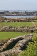 chemin bord de mer bretagne