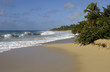 France, Martinique, plage des Salines France, Martinique, plage des Salines