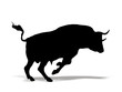 Stier - im Sprung Stier - im Sprung
