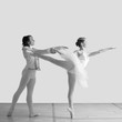 danza classica