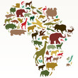 animals of africa