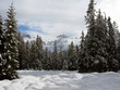 dolomiti