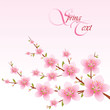 Spring Blossom Spring Blossom