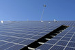 Sun Energy Farm Sun Energy Farm