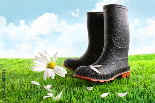 Foto: Rubber boots with daisy in grass Rubber boots with daisy in grass