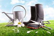 Boots with watering can and daisy in grass