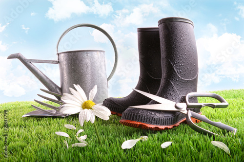 Foto: Boots with watering can and daisy in grass Boots with watering can and daisy in grass
