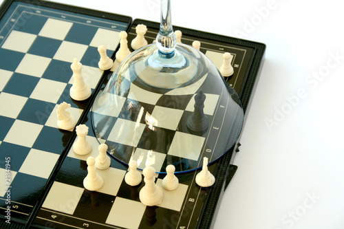 Photo: Black king of the chess game protected by a globet Black king of the chess game protected by a globet