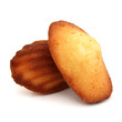 Madeleines Madeleines