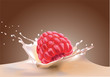 Raspberry and milk on a white background