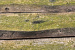 Foto: alte Holzlatten alte Holzlatten