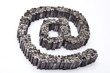 Internet symbol
