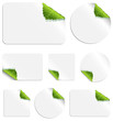 Leaf Stickers