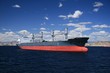 Bullcarrier anchored