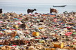 Dump on the beach - man-made environmental disaster