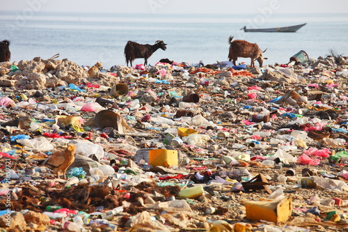 Foto: Dump on the beach - man-made environmental disaster Dump on the beach - man-made environmental disaster
