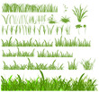 Set of grass