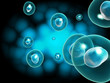 cell