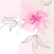 Delicate floral background Delicate floral background