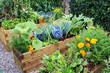 Photo: Vegetable garden Vegetable garden