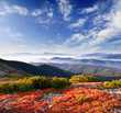 mountains landscape
