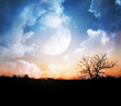 Moonlight night