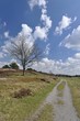 Lüneburger Heide