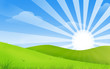 Green hills in the sun