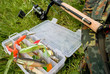 Set of fishing tackles
