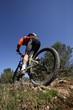 vtt