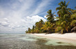 Foto: Tropical Beach Tropical Beach