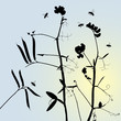 vector grass silhouettes backgrounds for design use vector grass silhouettes backgrounds for design use