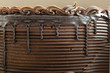 chocolate cake, side view