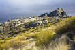 Sierra de la Cabrera. Madrid