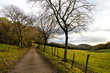 Countryside at fall Countryside at fall