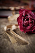 Photo: getrocknete rosen - nostalgie getrocknete rosen - nostalgie