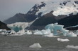 Parque Lago Glacial - Argentina