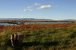 El Calafate -Patagonia argentina