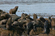 Canale di Beagle - Ushuaia - Argentina