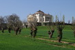 Palladio La Rotonda a Vicenza_06