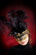 Young woman in carnival mask