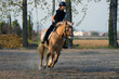 Bambina bionda galoppa con pony Bambina bionda galoppa con pony