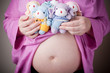 toy puppies sitting on pregnant belly