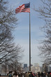 the patriot