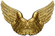 Emblem Of Golden Wings