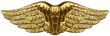 Golden Wings