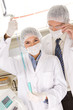 Young scientists at work